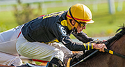 Best Betting Sites