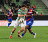 Ludogorets vs Ferencvaros Predictions, Betting Tips and Odds
