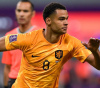 Poland vs Netherlands Predictions, Tips and Odds