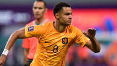 Poland vs Netherlands Predictions, Tips and Odds