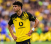 Borussia Dortmund vs Hamburg Predictions, Betting Tips and Odds