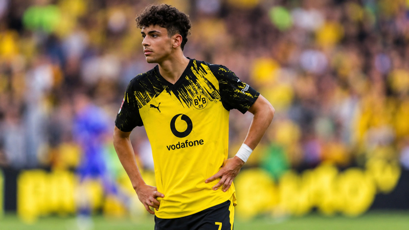 Borussia Dortmund vs Hamburg Predictions, Betting Tips and Odds